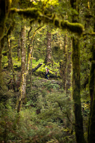 PREPAREDNESS: Never Underestimate the New Zealand Wild