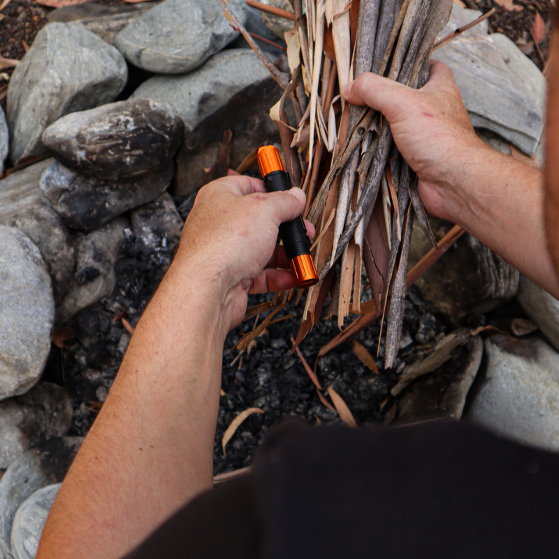 KEA IGNITE | Backer Special
