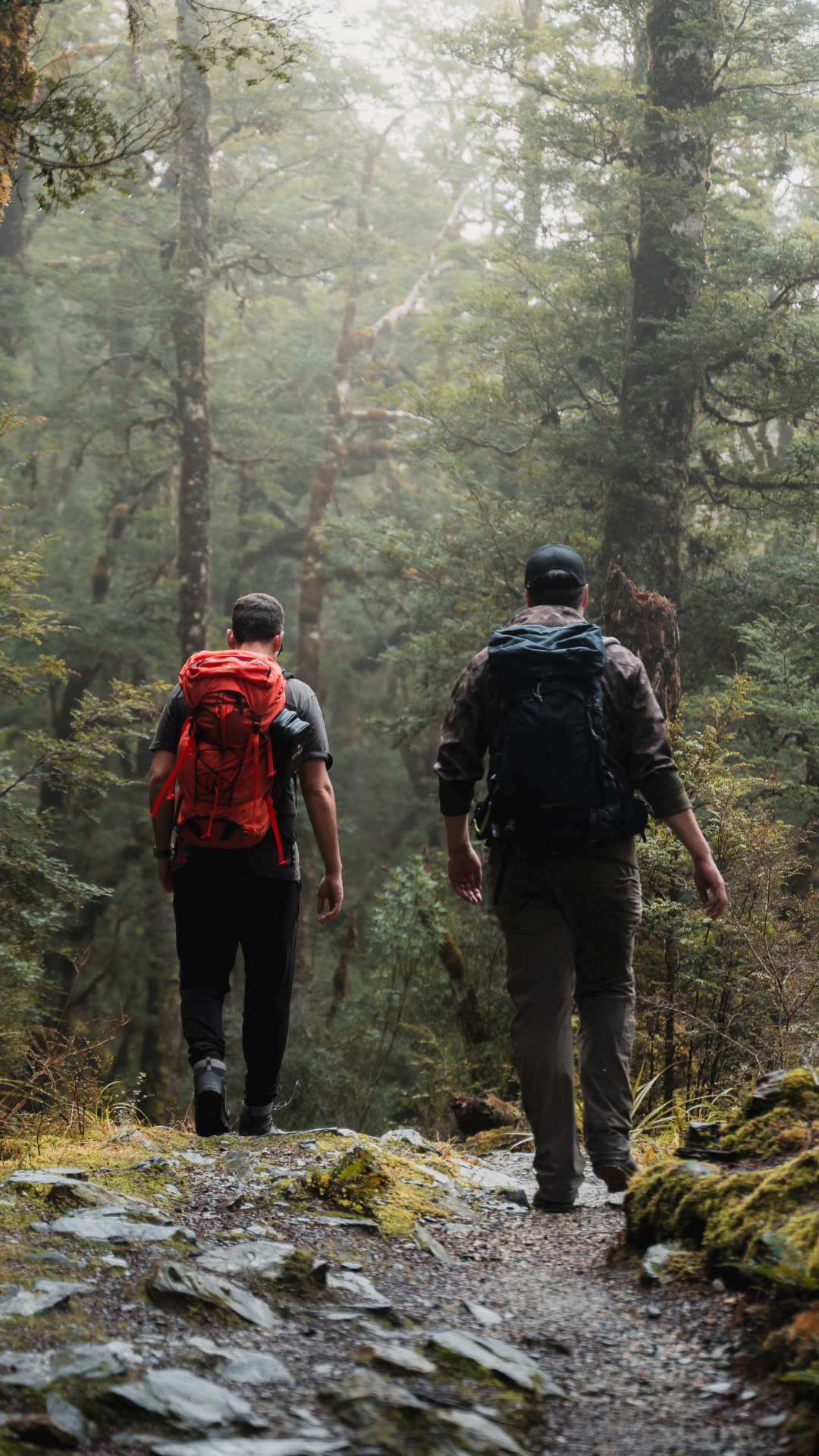 KEA gear ready for a Fiordland Great Walk